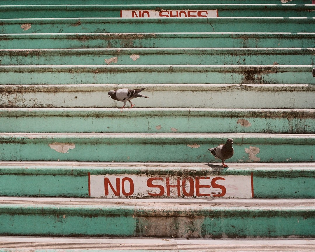 local seo guide for businesses