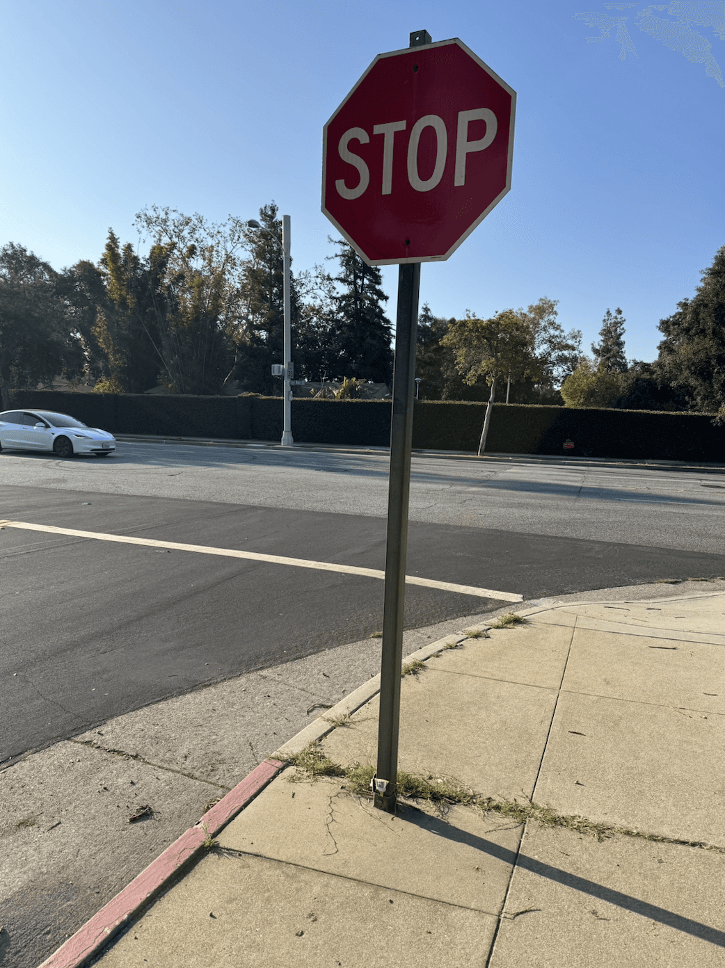 HyperCare!, Mayela Rodriguez, Pasadena, California, USA, uncommissioned, 2025