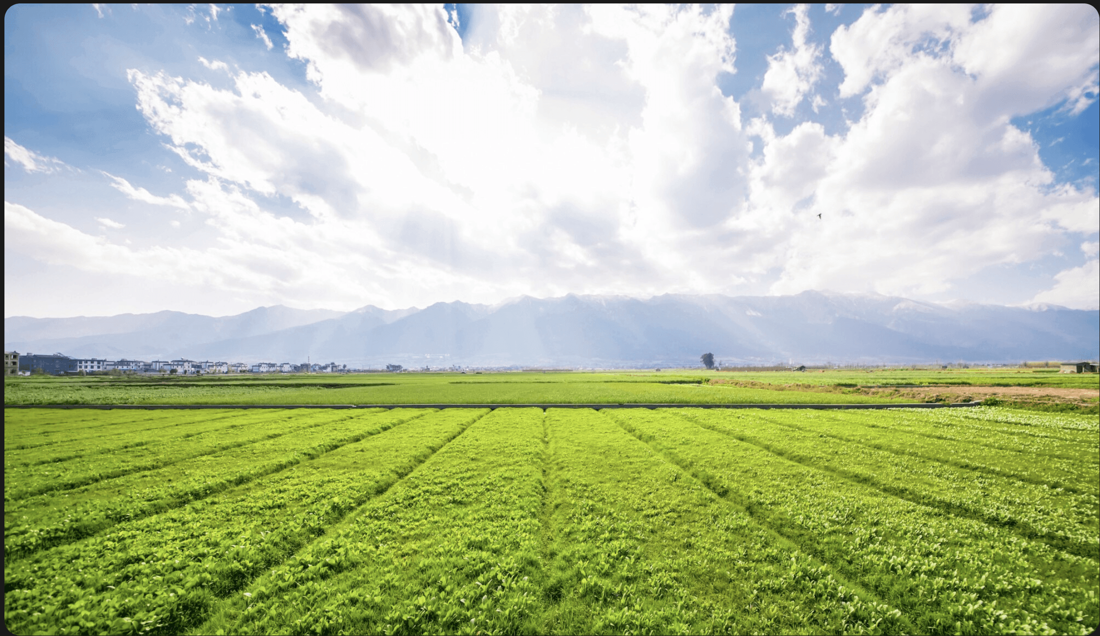 farm background