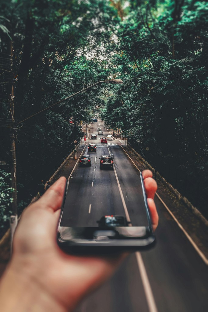 Image of a person holding a mobile phone which is blending seamlessly in to the road among the forest.