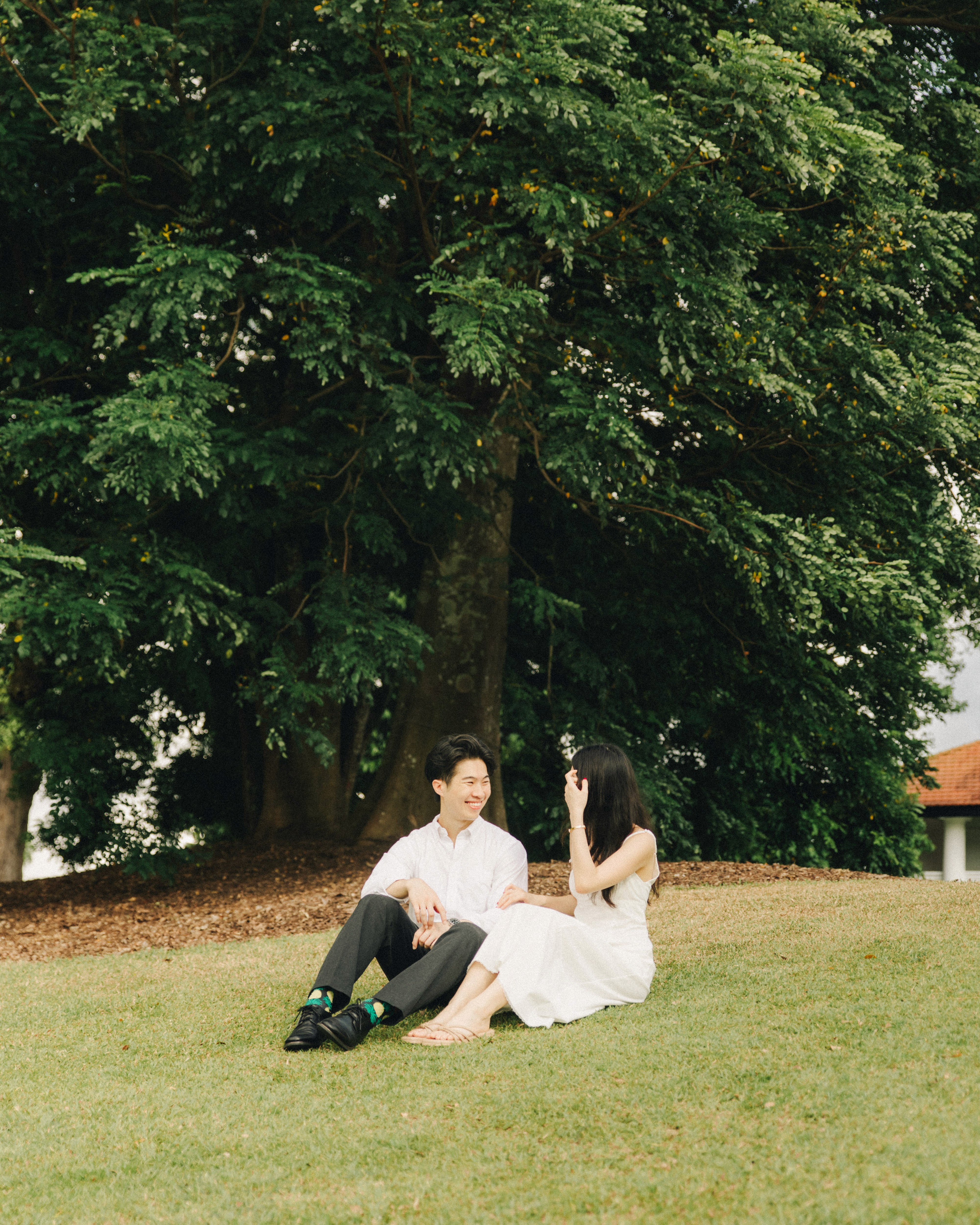 The graduate and his partner pose for a relaxed portrait under the Tembusu tree canopy.