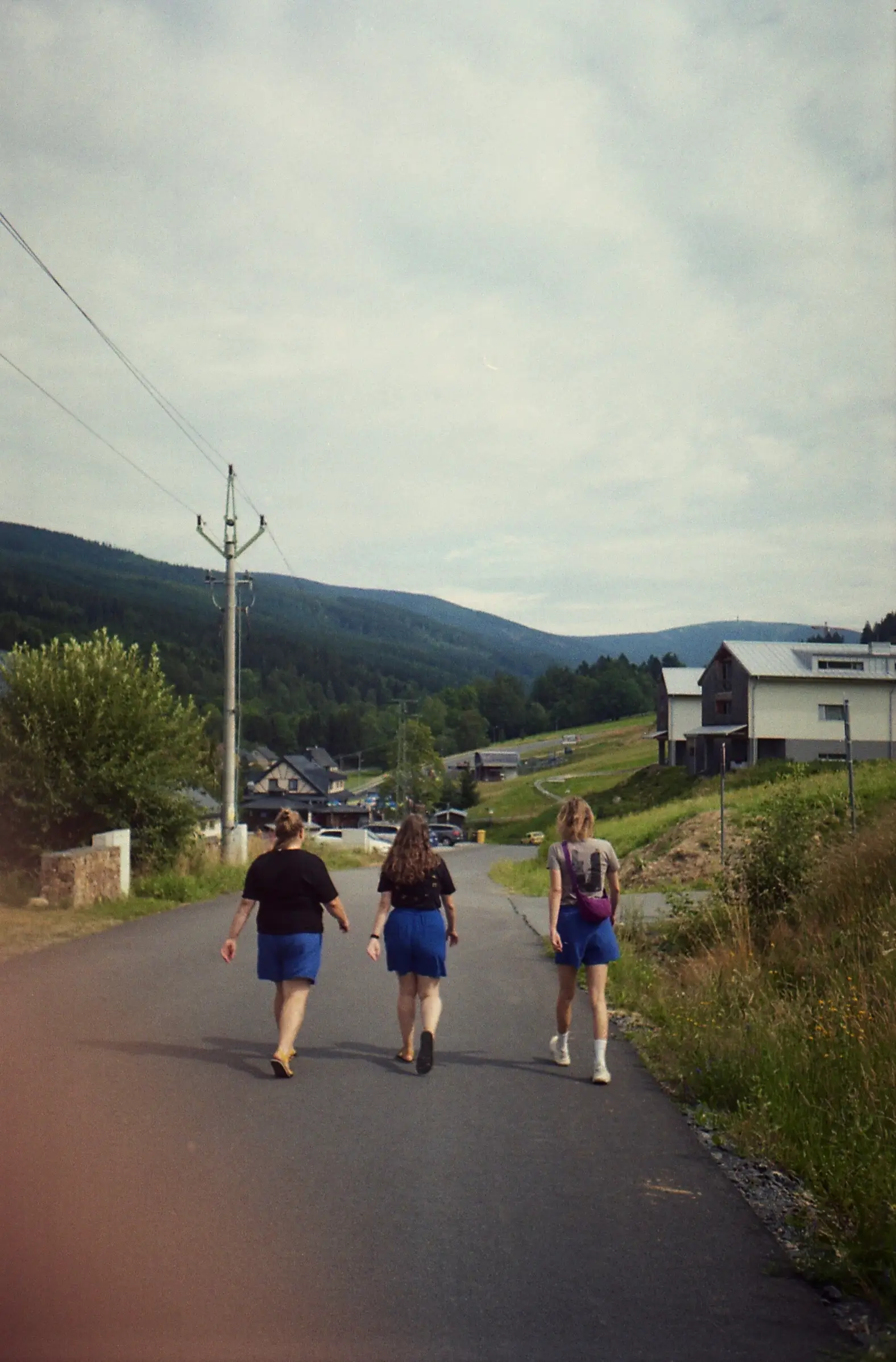 Bowl of oats and figs
