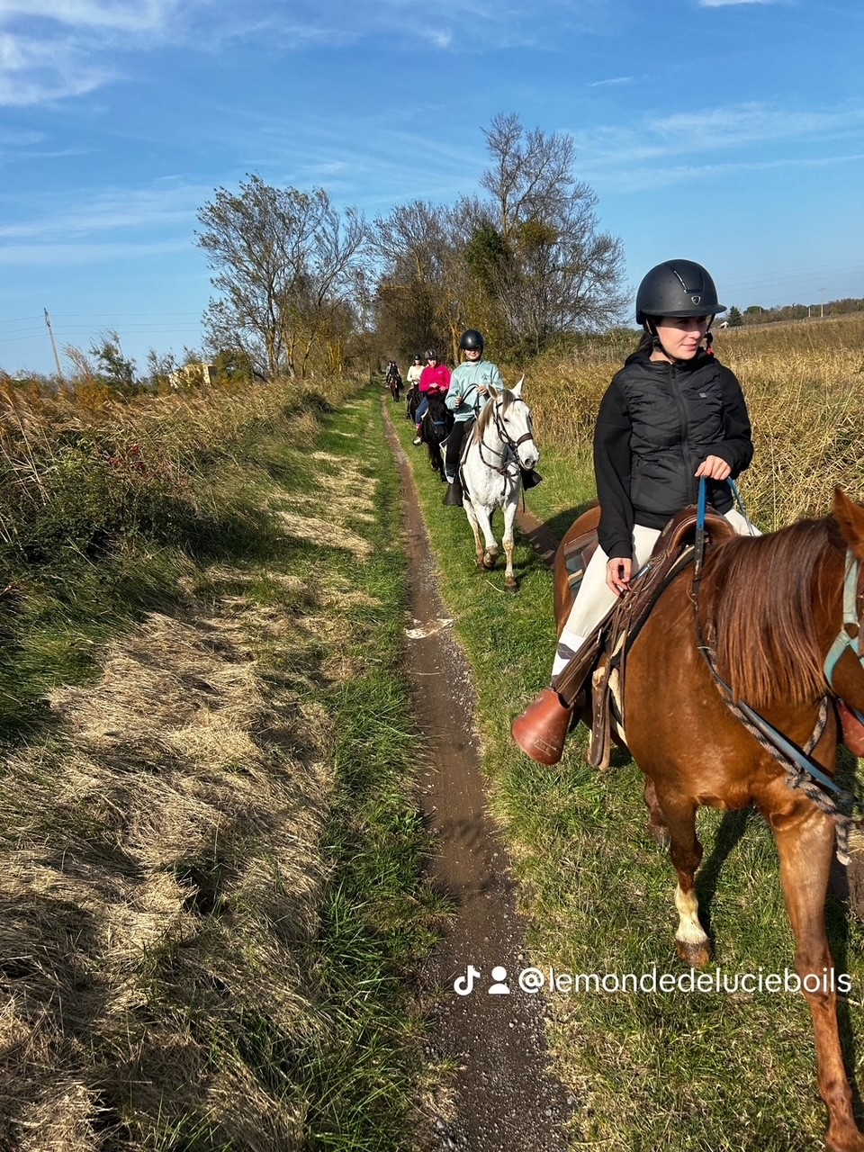 Cavaliers en balade à cheval sur un grand sentier ensoleillé à travers les paysages du Languedoc