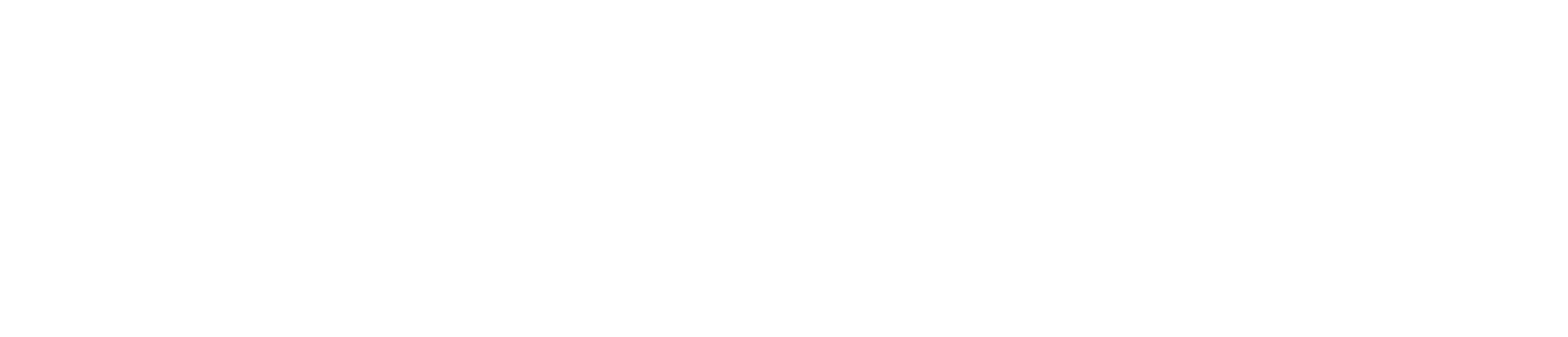 Main Logo