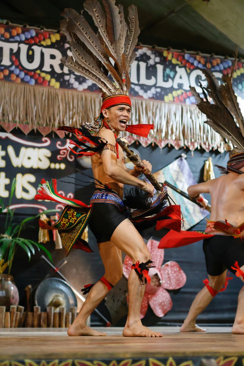 Zebras grazing in a dry grassy savanna