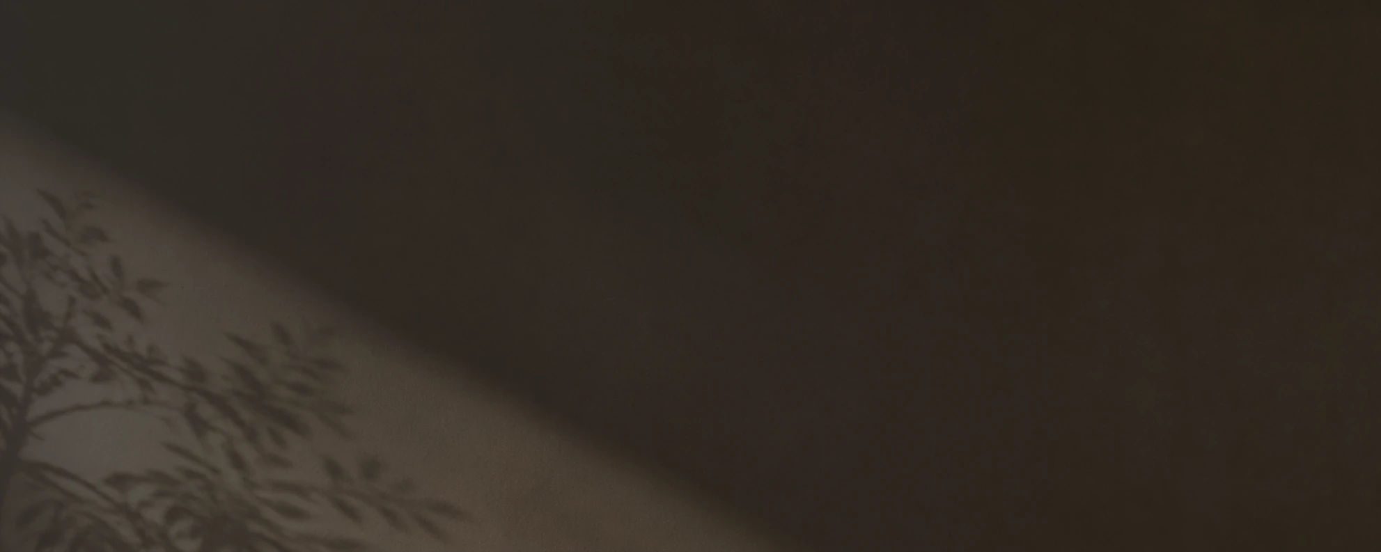 Background iamge with plant shadows