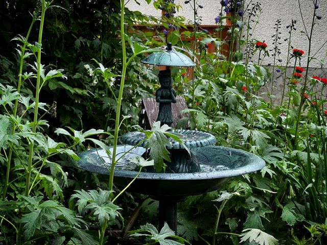 fountain in a garden