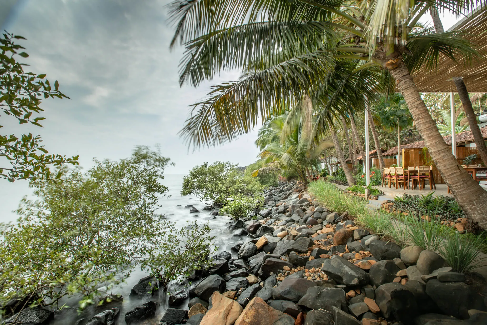 Palms over the rocky shoreline at Casa Jaali