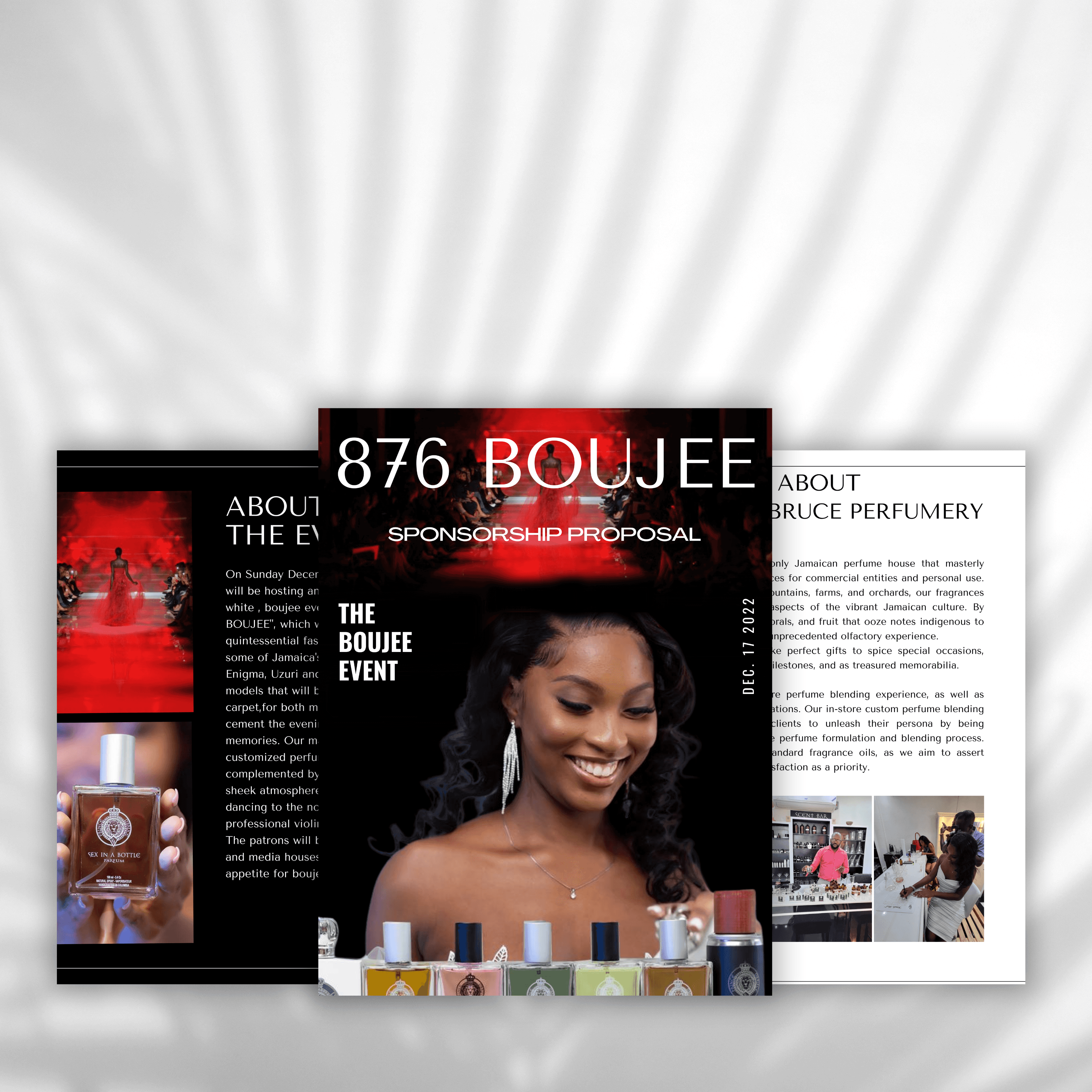 Prince D'Bruce Sponsorship Proposal