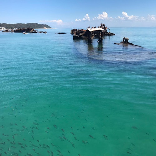 Sunken shipwrecks partially submerged in clear turquoise water with a distant island and small fish swimming near the surface.