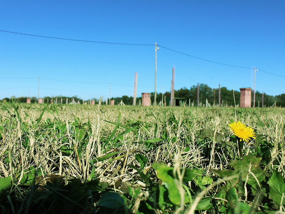Lotes Para Todos - Cerro Rico 1