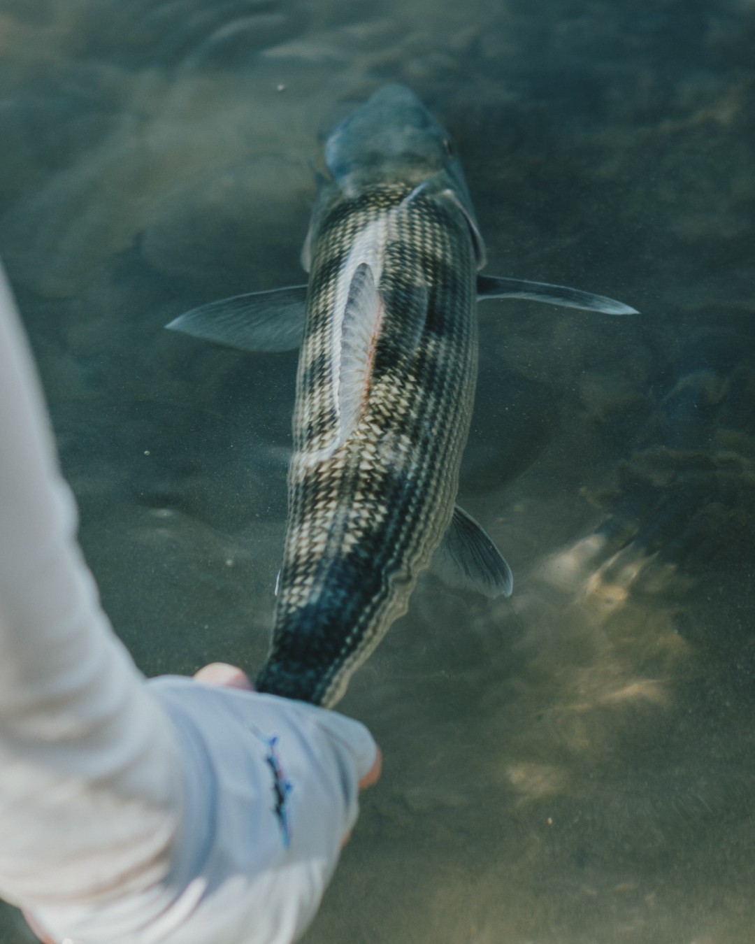 Overview of the Permit to Play house featuring two stories, ground deck, sandy beach spot and a private pool
