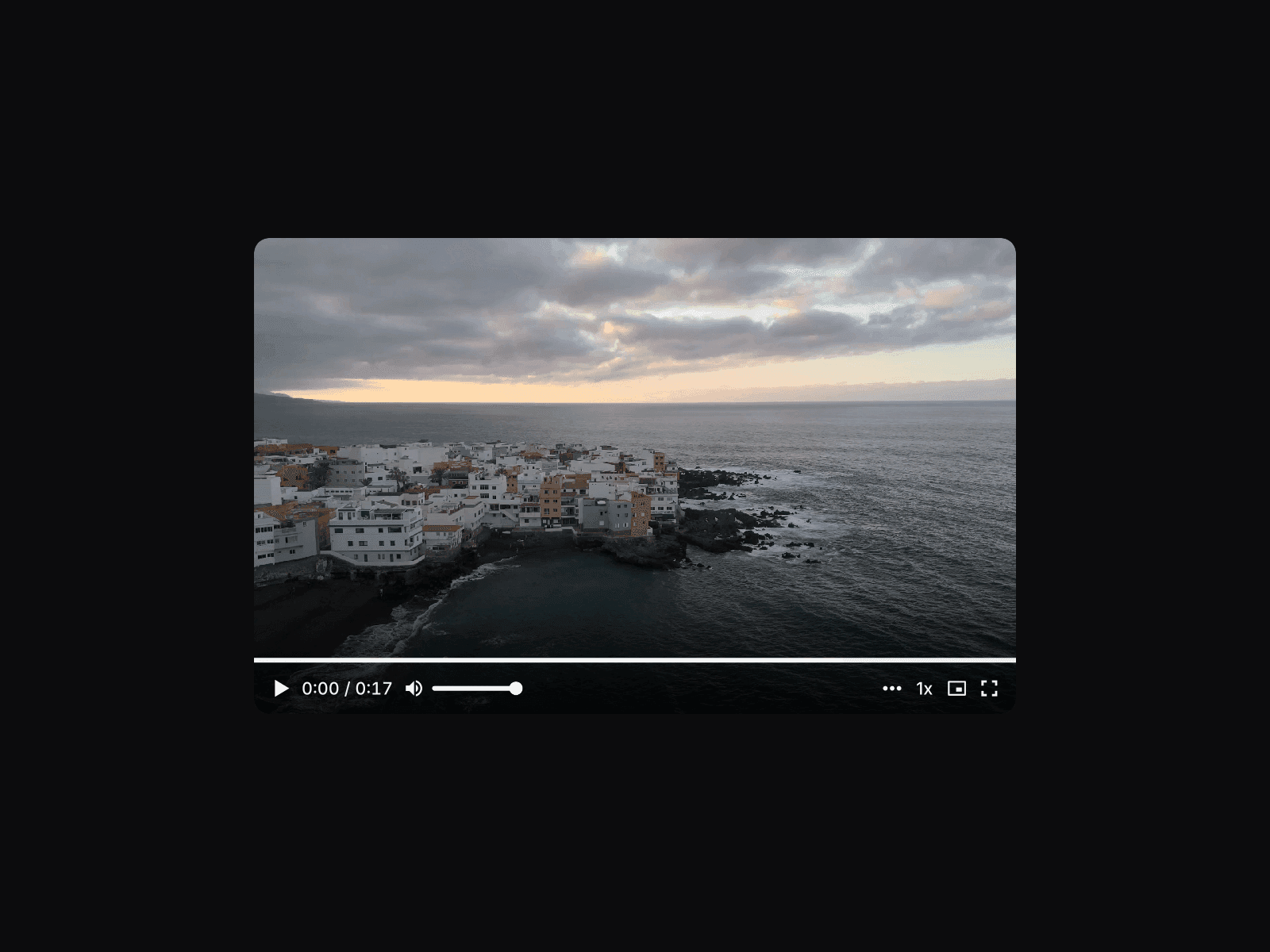 Video Pro Max