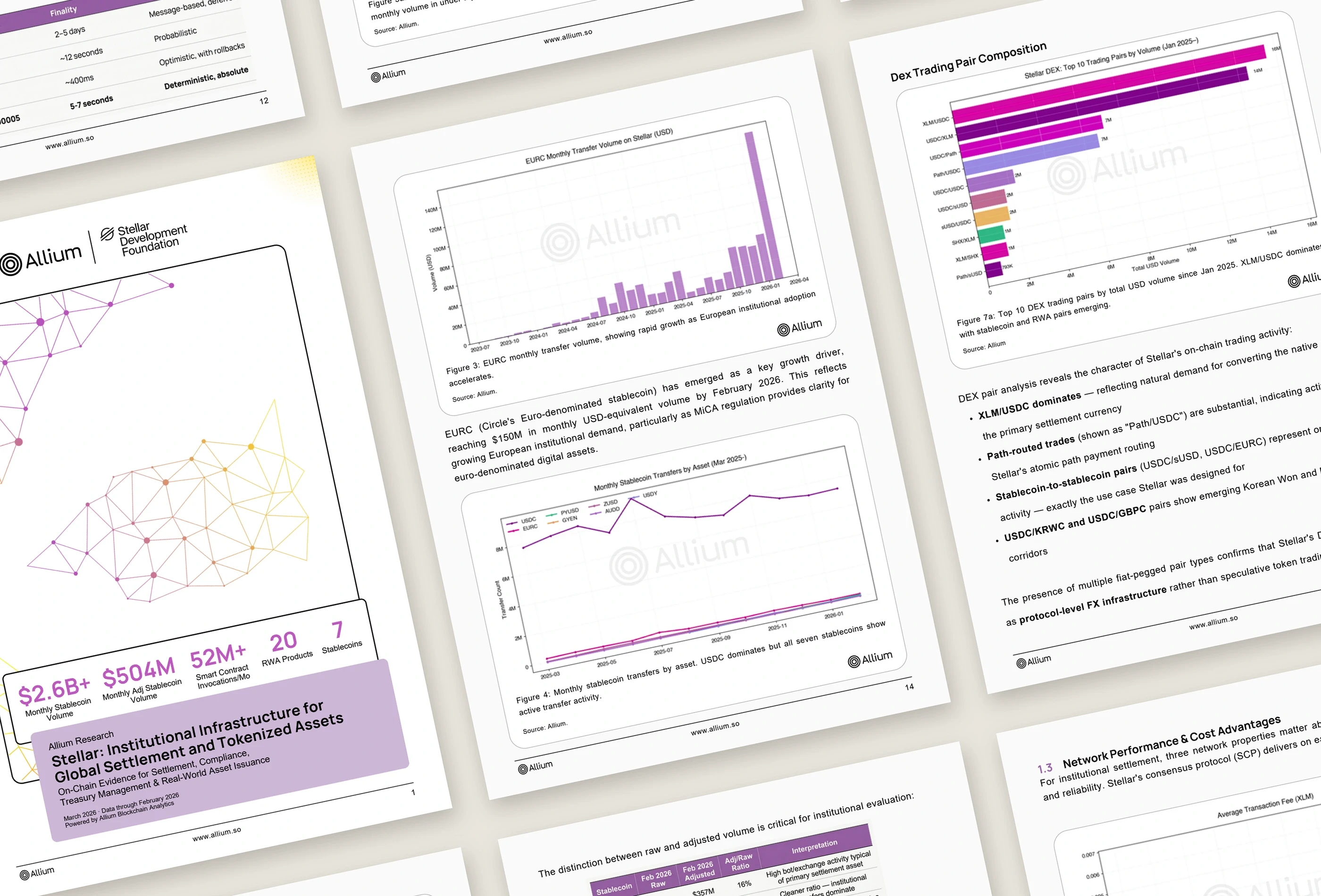 Allium and Stellar Development Foundation report design showing the selected cover, charts, tables and editorial page layouts