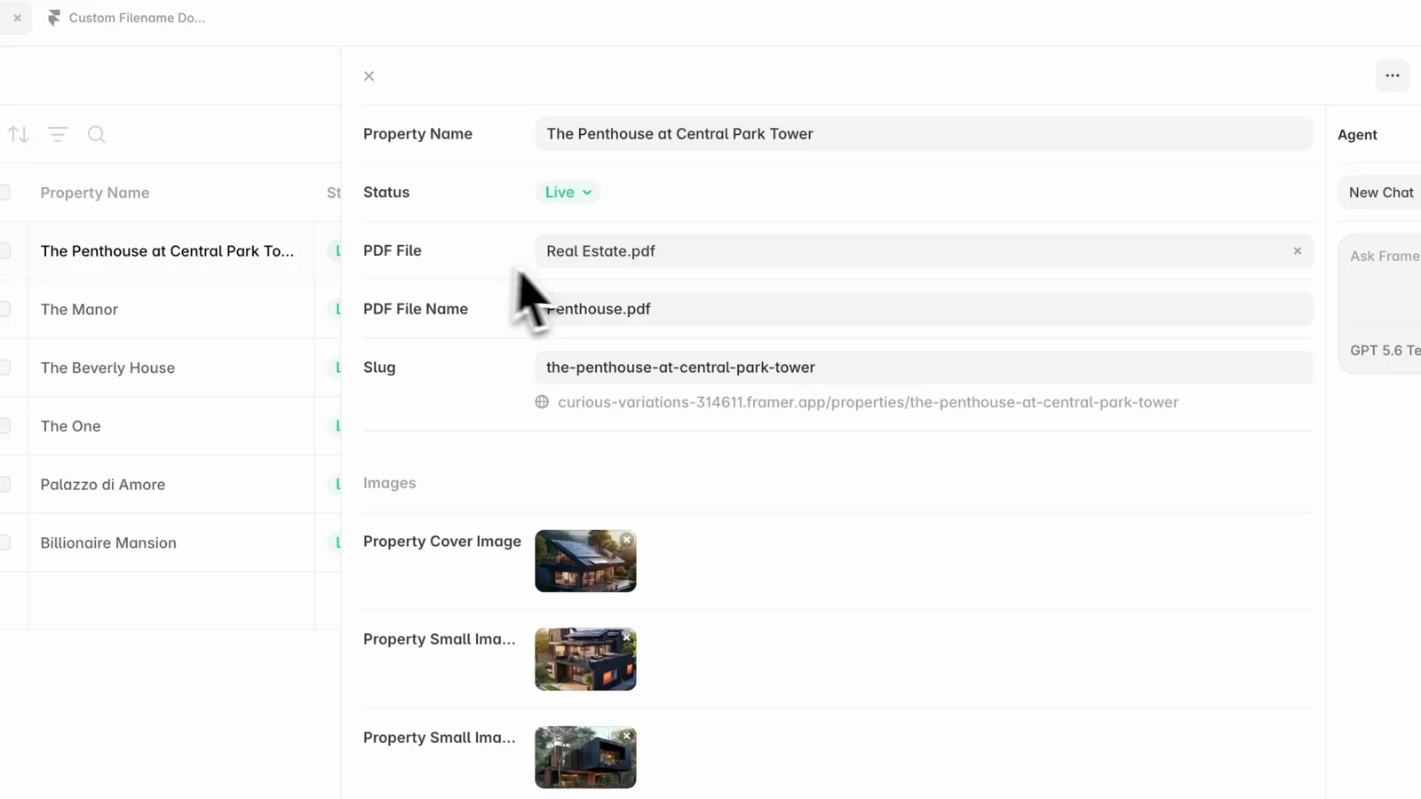 Two CMS fields in Framer: PDF File and PDF File Name
