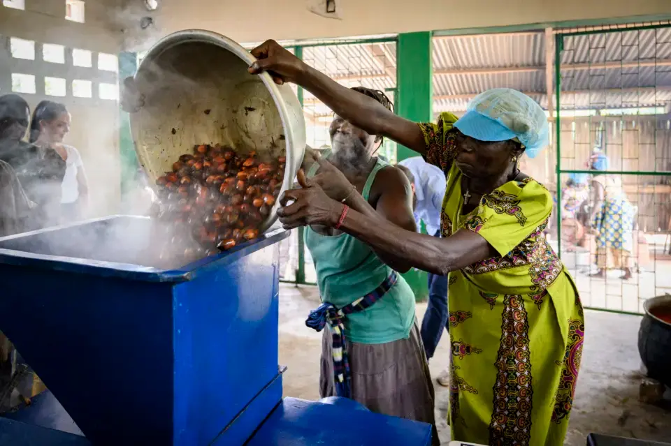 Frauen verarbeiten Palmöl mit einer Mühle in Togo.
