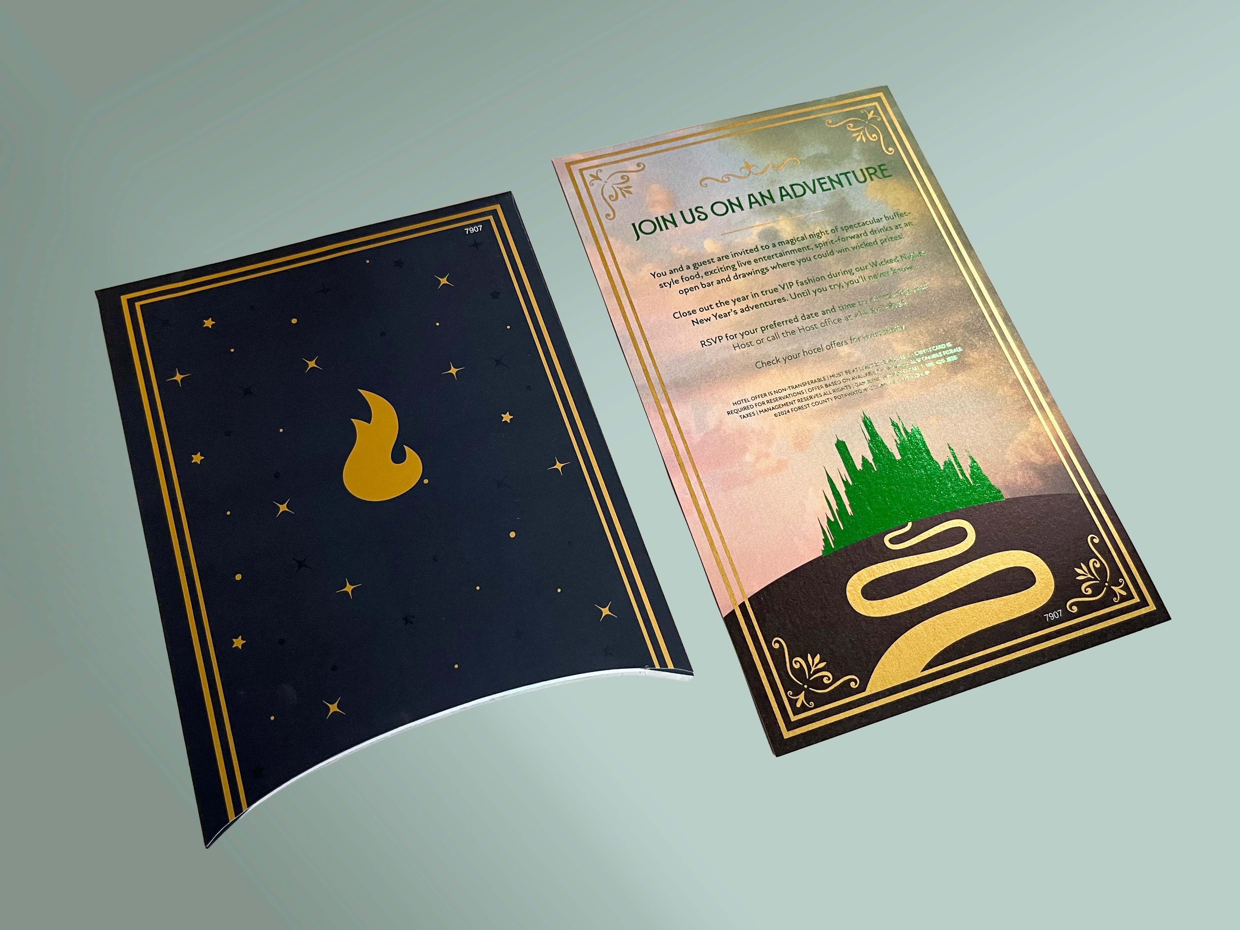Wicked Nights sleeve and insert back