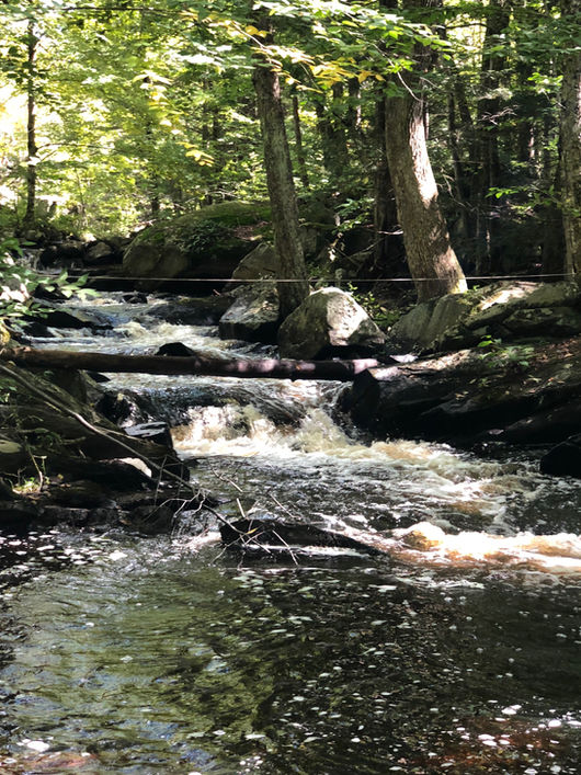 Wooded stream with small rapids and rocks at Camp Lenox