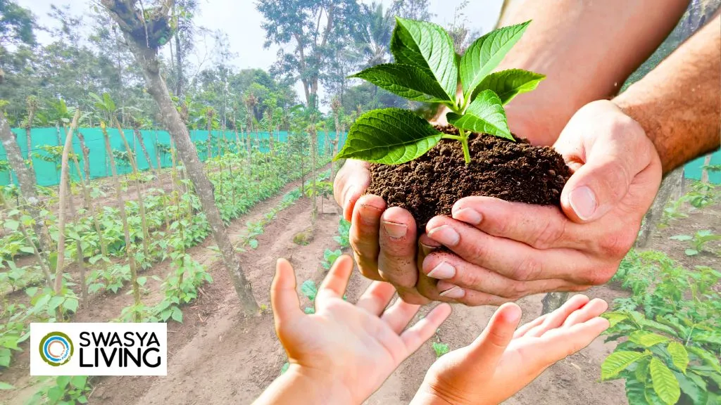 Benefits of Investing in Agricultural Land