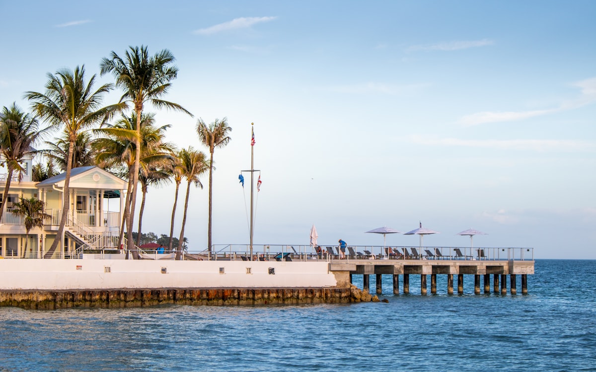 Palm trees and a long pier over calm ocean water in the Florida Keys