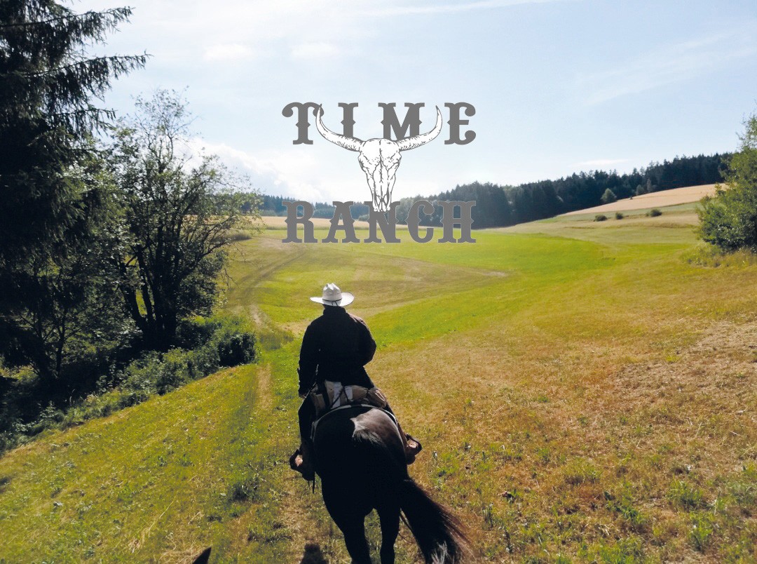 Close-up of lush, dark green leaves, some glossy and wet, against a muted background.