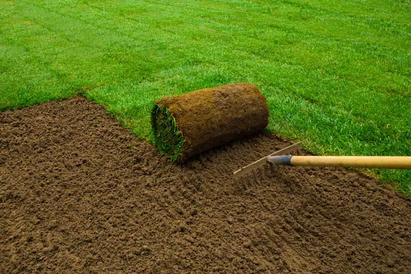 FreshStart Landscaping Vegas backyard landscaping with artificial turf decorative plants and xeriscape design