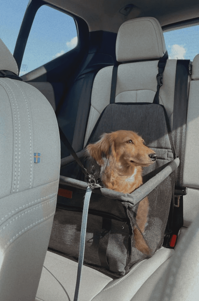 Una&Co Photo Transport