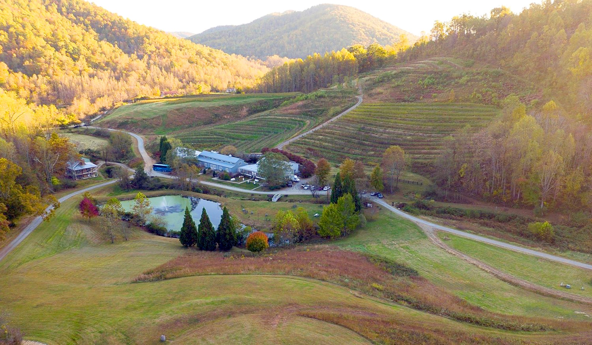 Mountain & Vine Vineyards and Winery offers more than just exceptional wines – it provides a gateway to the beauty, history, and hospitality of Virginia's wine country.