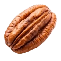 καρπός πεκάν