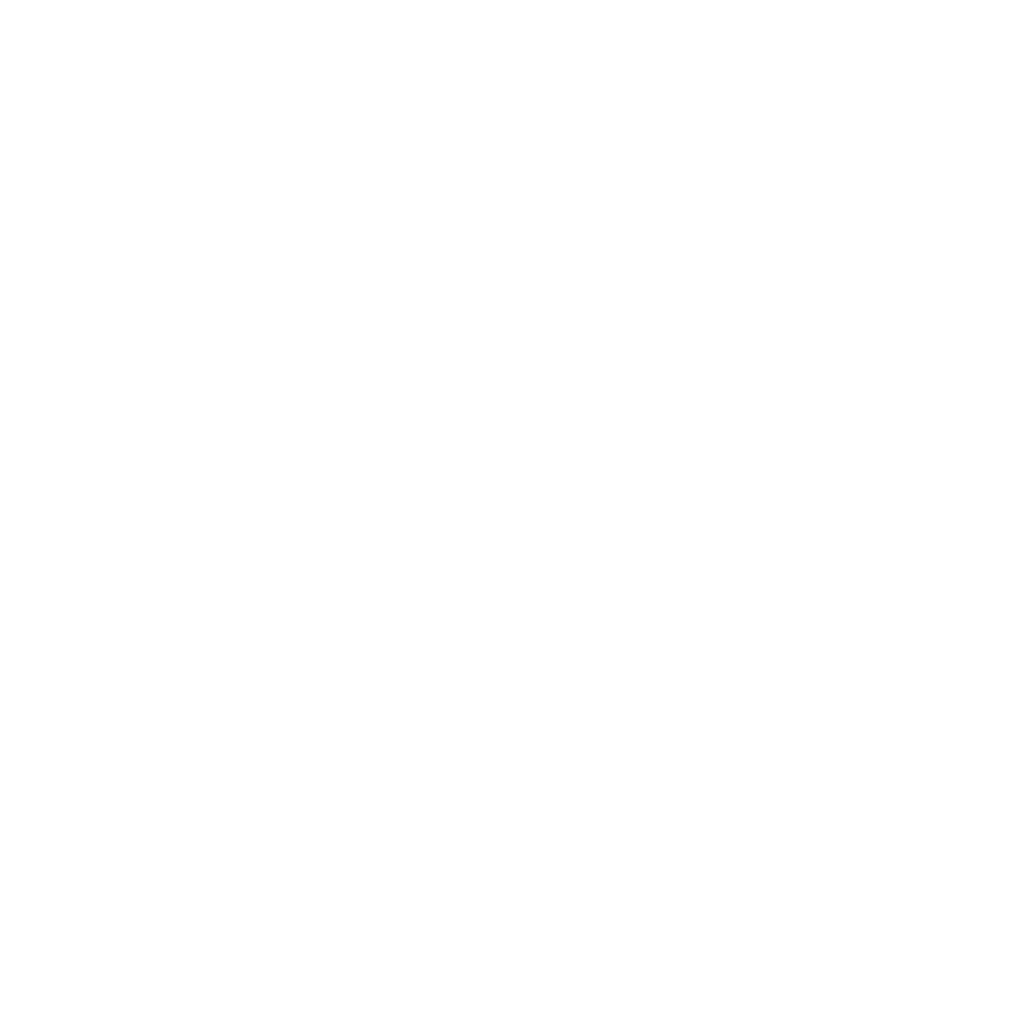 Behance icon