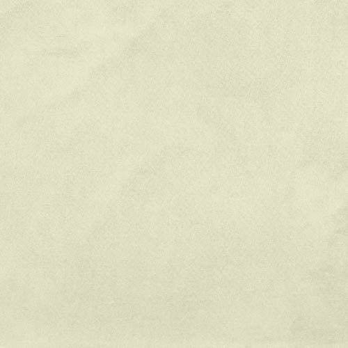 Solid light beige color swatch