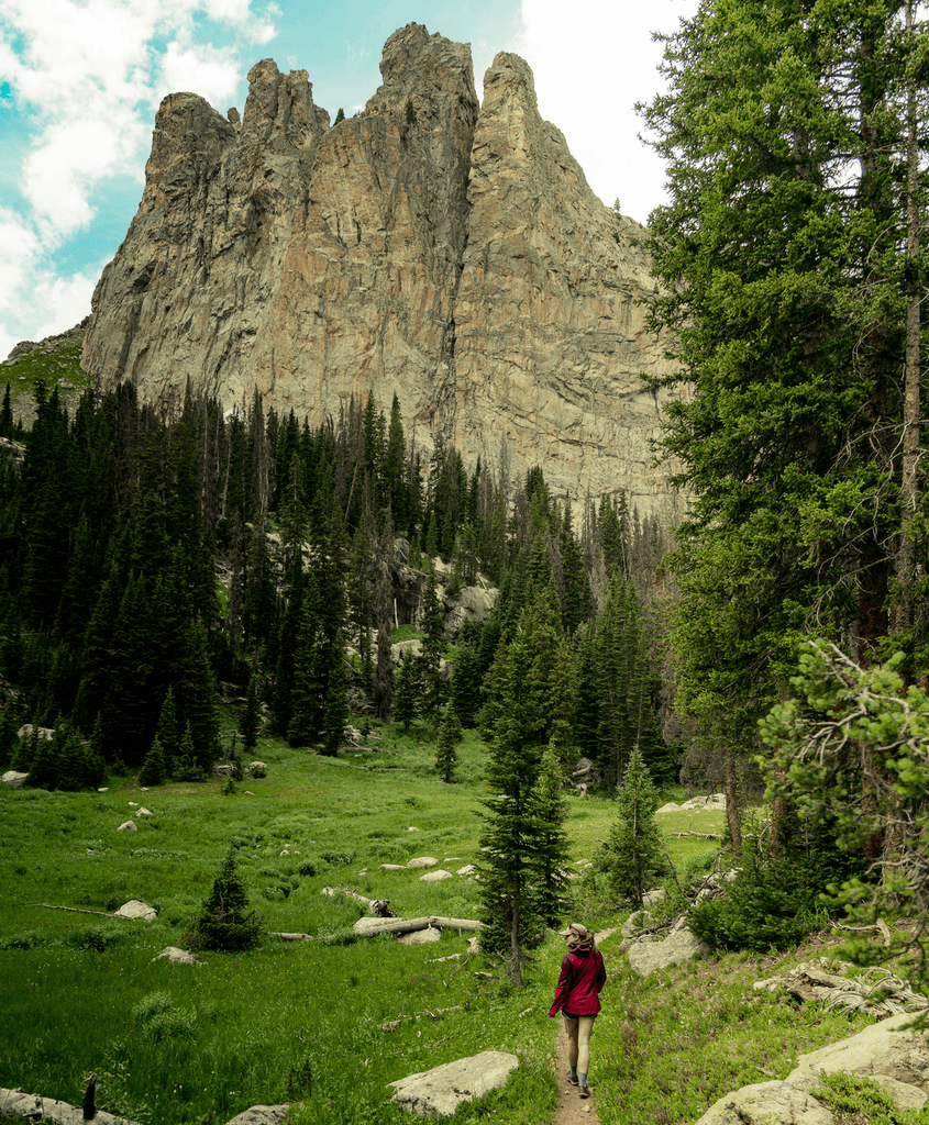 person in red jacket standing on green grass field near green trees during daytime