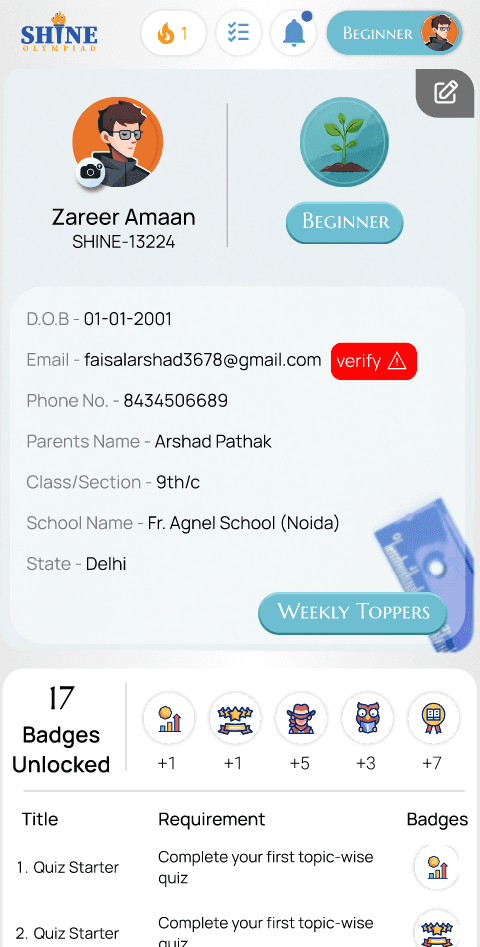 Shine mobile screen 6
