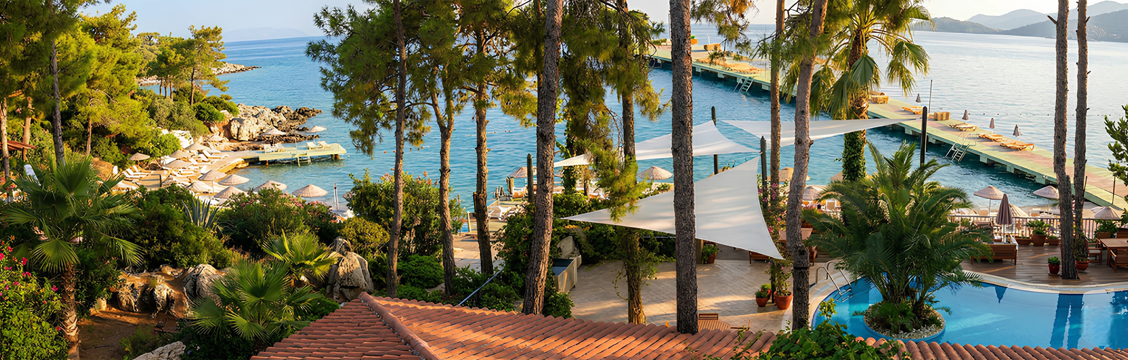 woman holding a phone and man looking at the phone. both are smiling