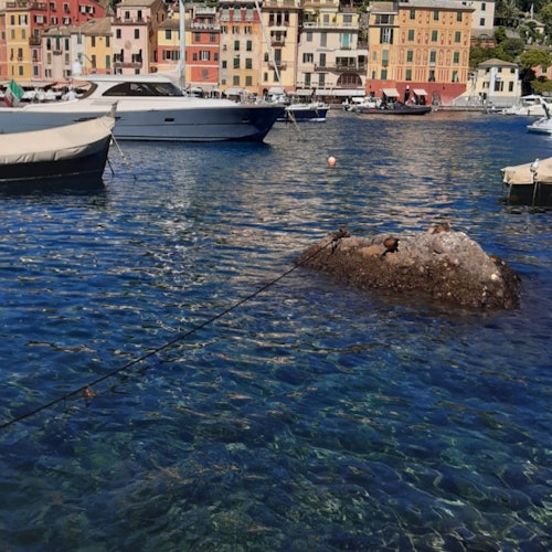 Boats anchored in a clear blue marina, with colorful buildings in the background and a rock visible in the water.