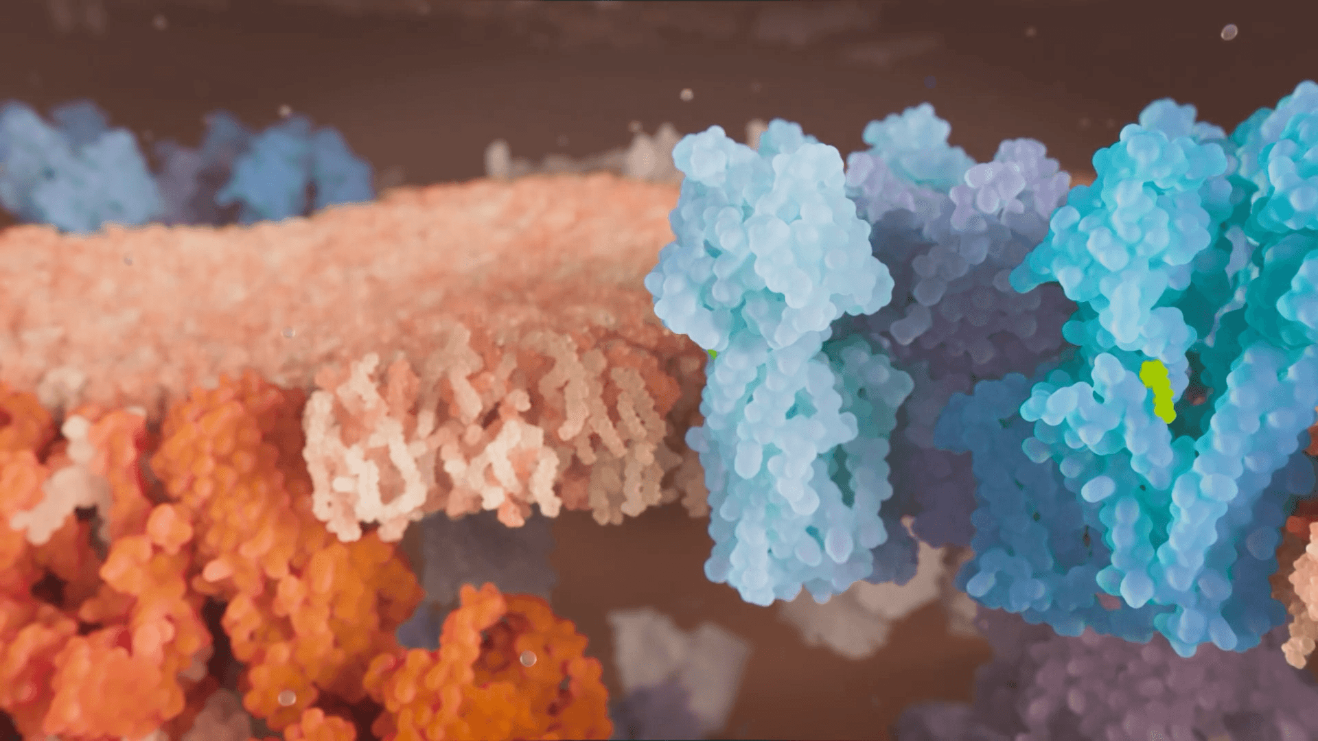 Normal mitochondrion cut out 3D render