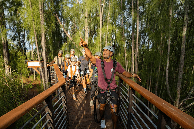 Massive rope bridge leading up to a zipline station