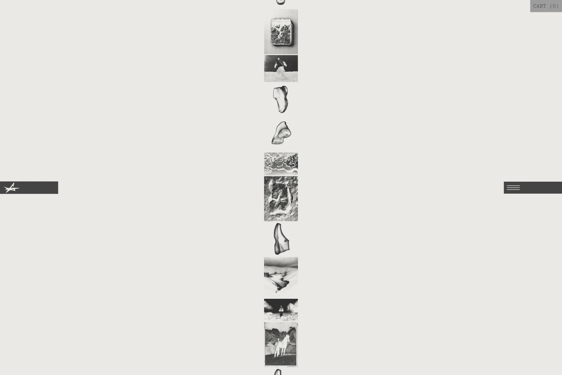 Screenshot of VTR website