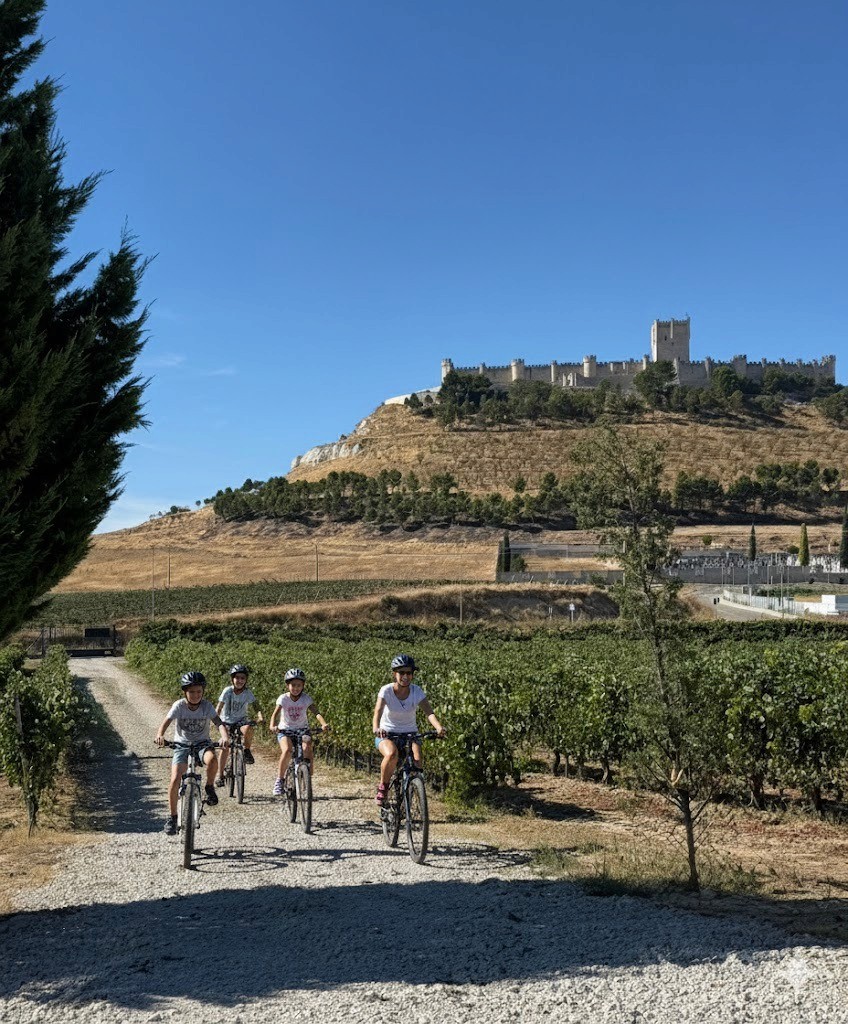 A group of people praticing yoga on the beach in the morning