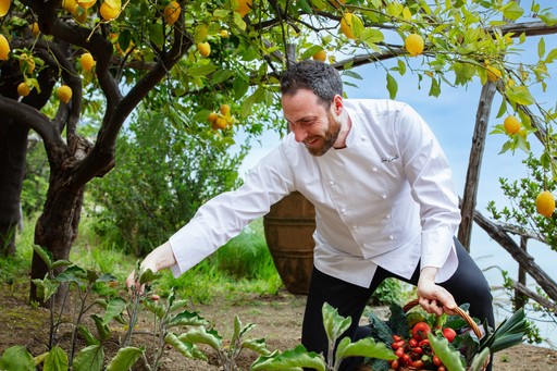 A man in a white button down shirt picking vegetables from a garden, holding a basket of crops