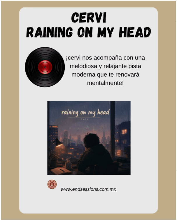 Cover artwork for Raining on my head by Cervi