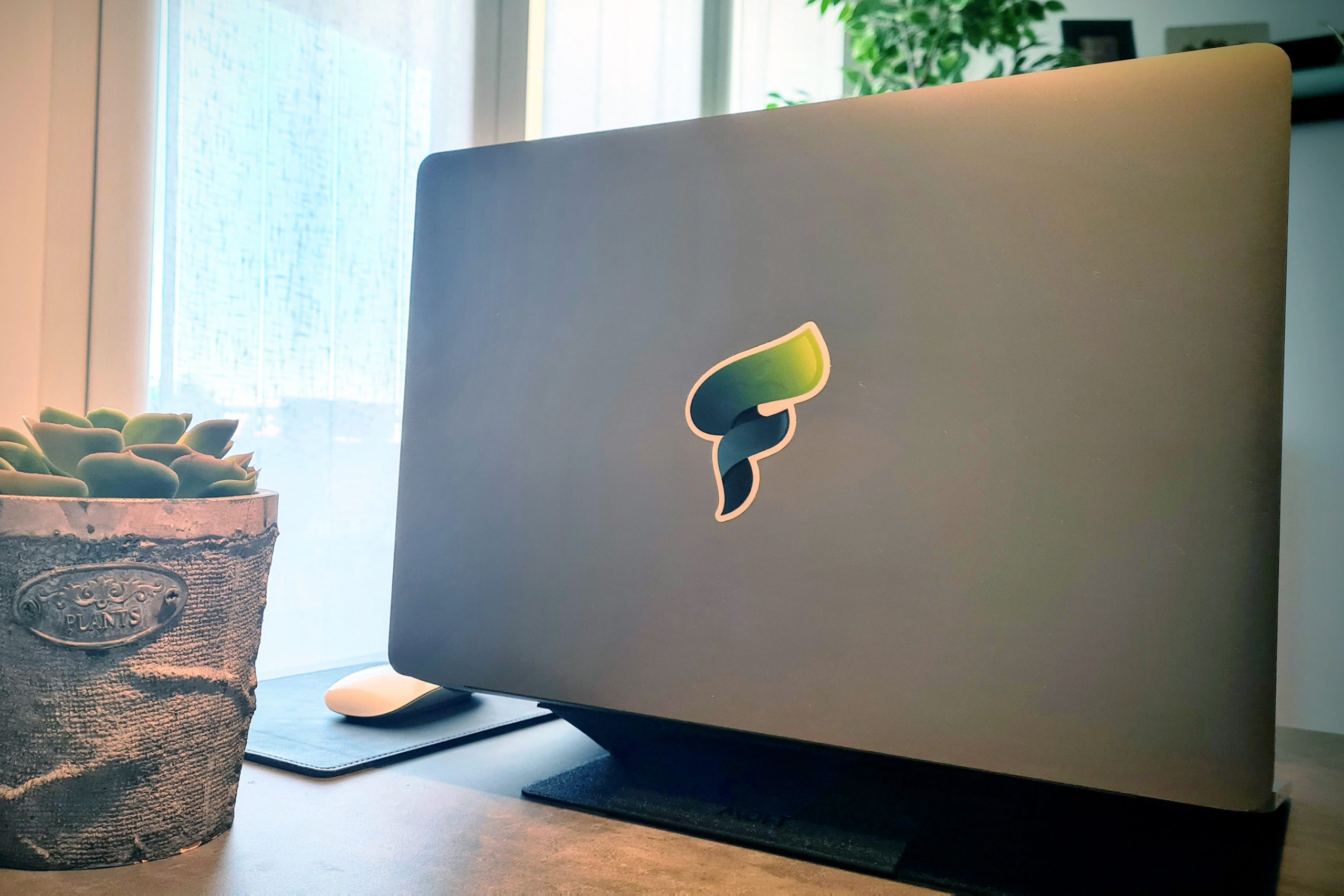 La brand identity di Fluida