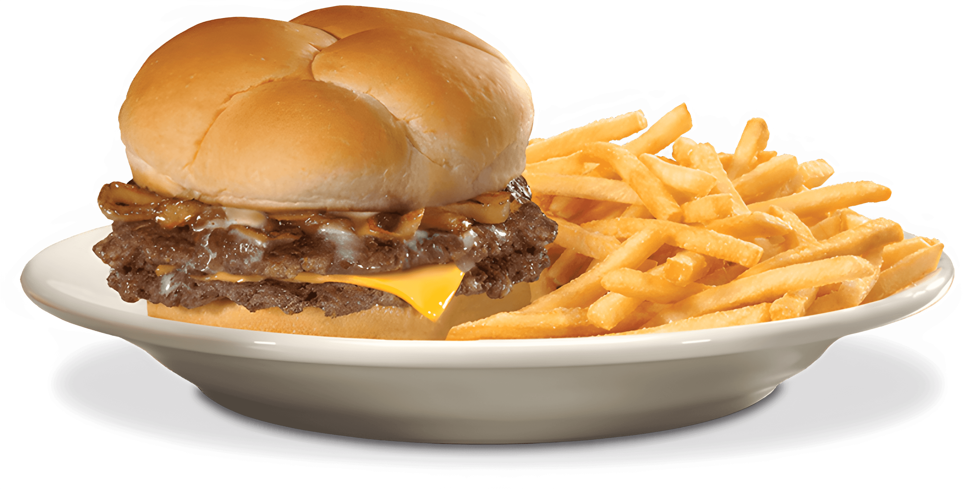 a plate of burger with fries on the side