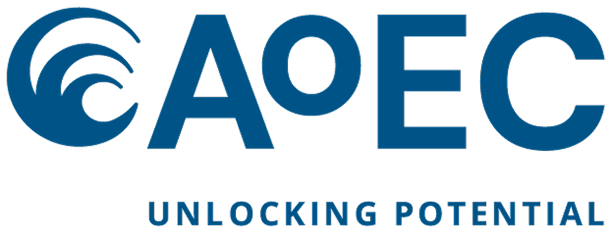 Academy of Executive Coaching