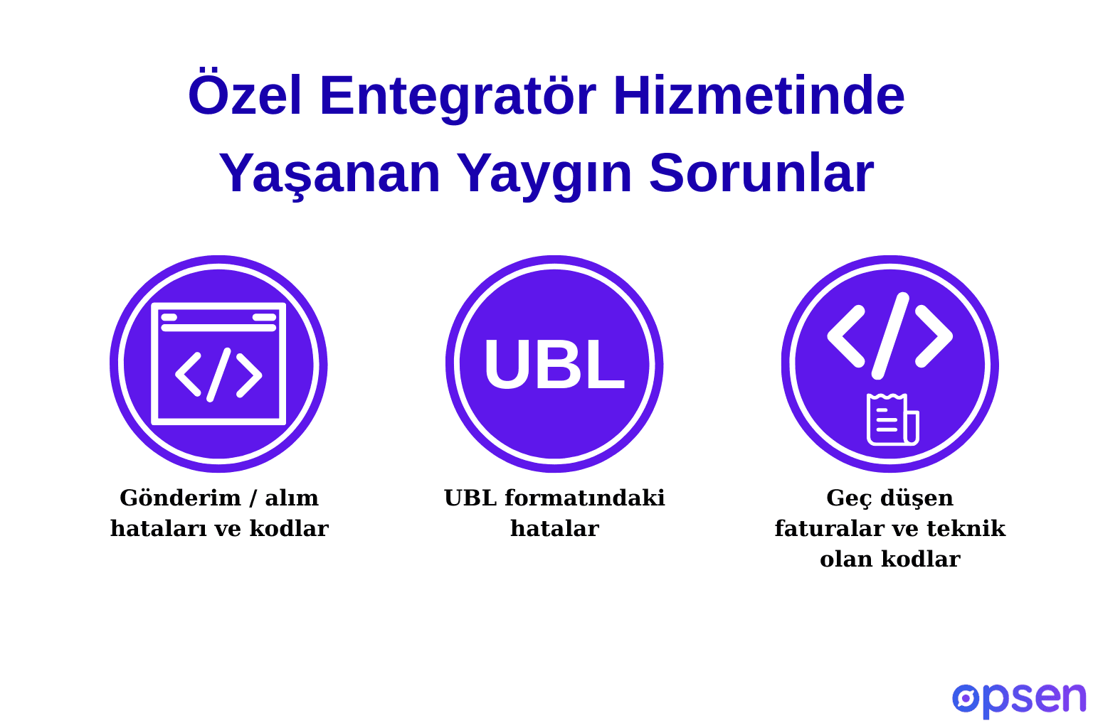 Özel Entegratör Hizmetinde Yaşanan Yaygın Sorunlar