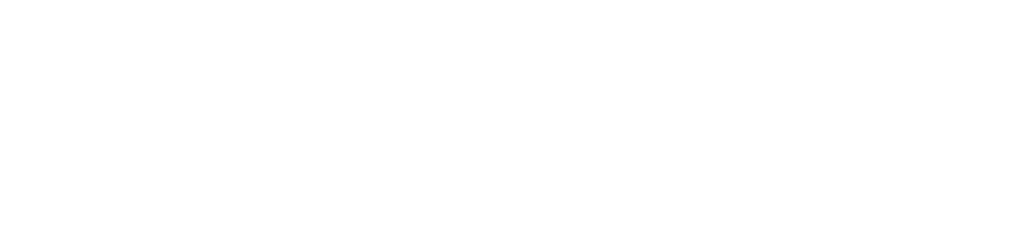 Actual Group - Champions Club