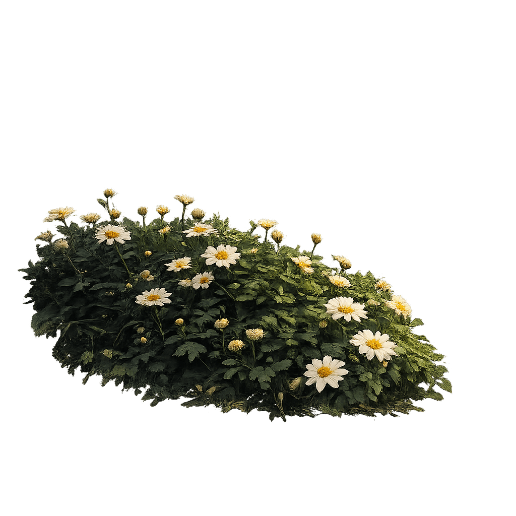 Bush image