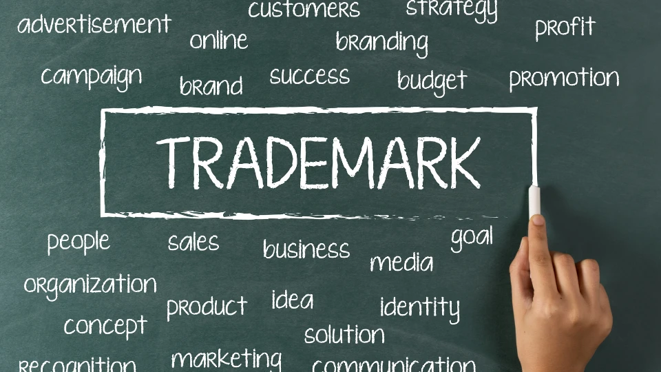 Close-up of lush, dark green leaves, some glossy and wet, against a muted background.