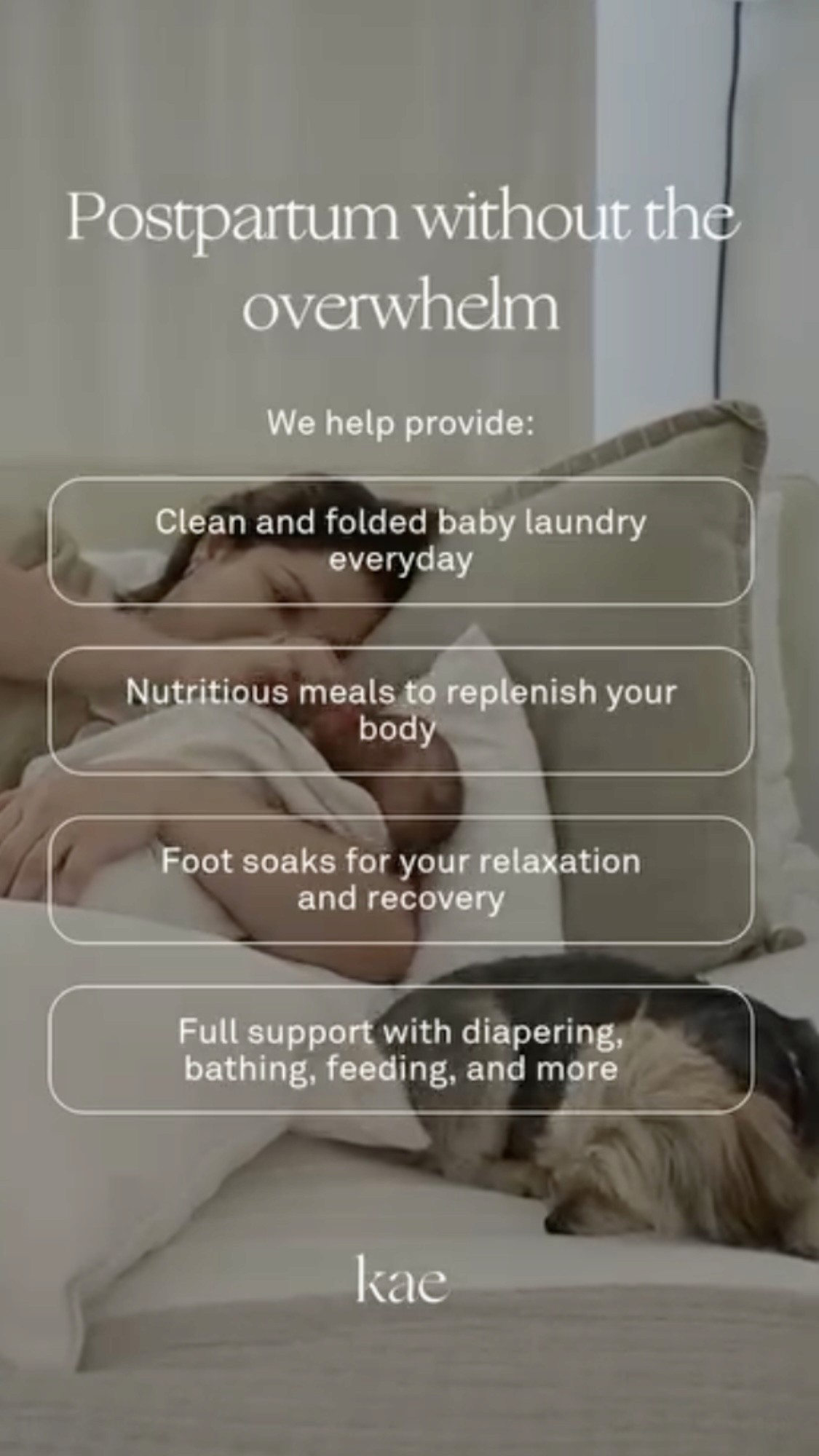 A skincare tube placed on dark, moss-covered rocks, surrounded by a natural, earthy backdrop.