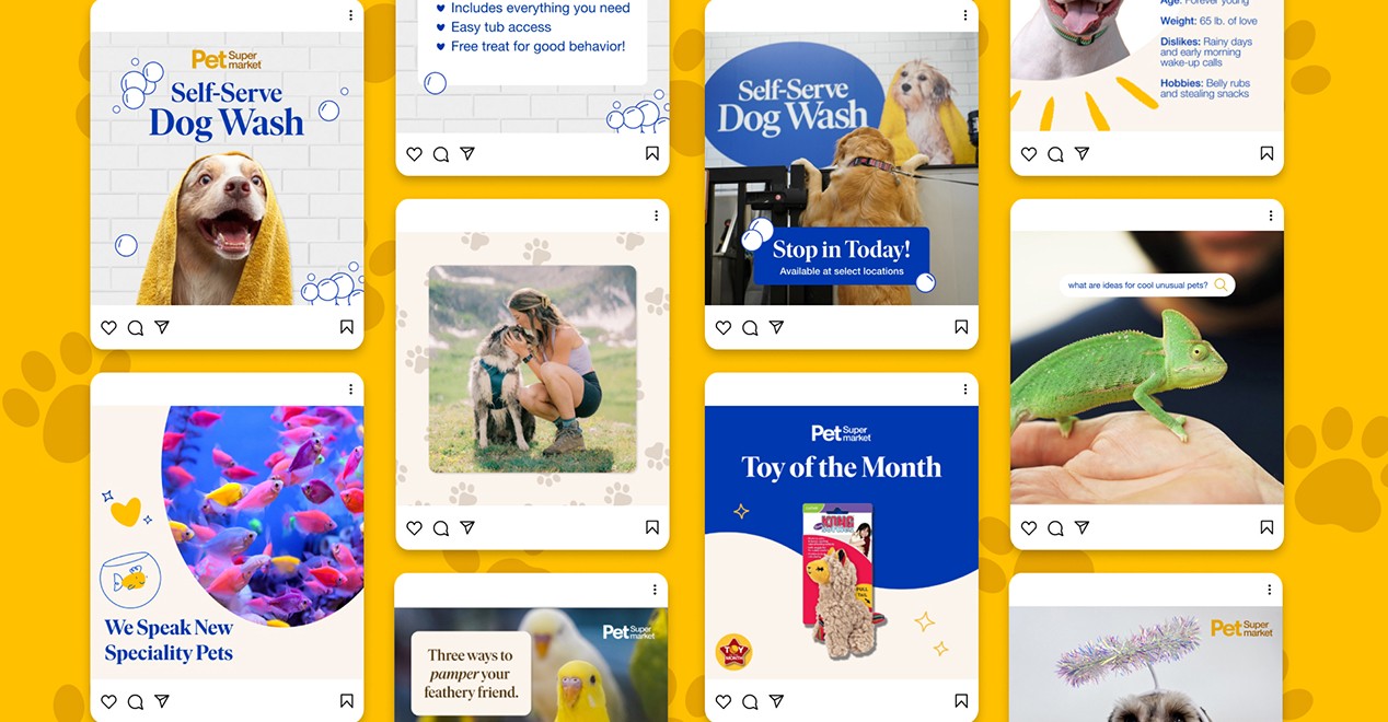 Pet Supermarket Work Sample